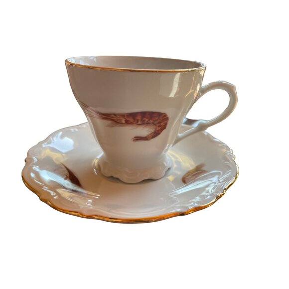 Cup Saucer Western Germany Sea Shore Shells Made in OTCO Bavaria West Germany - Picture 1 of 9